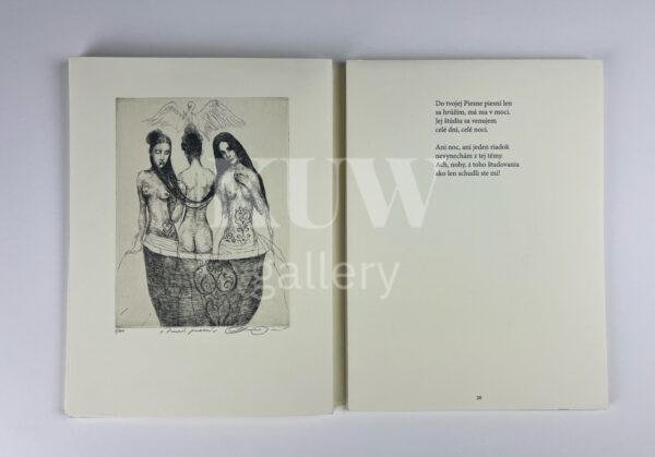 Bibliofilia - Image 2